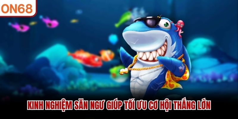Kinh nghiệm săn ngư giúp tối ưu cơ hội thắng lớn